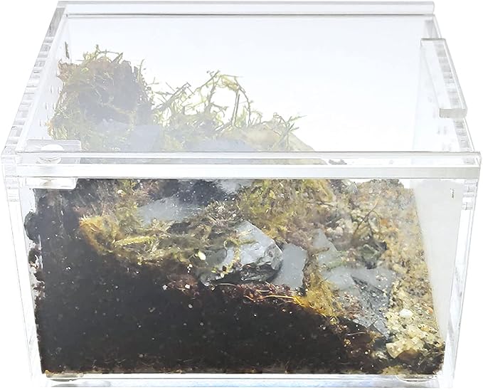 Herpcult Magnetic Acrylic Mini-Flat Enclosure 3 x 4 x 2.5