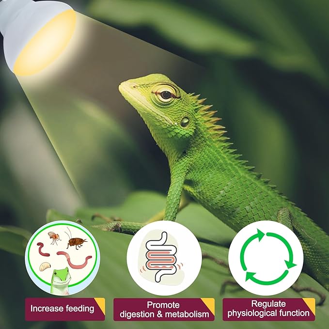 150W Reptile Heat Lamp Bulb,Basking Spot Lamp Bulb for Reptiles & Amphibians，Reptile Daylight Heat Bulb for Bearded Dragon, Lizard, Turtle