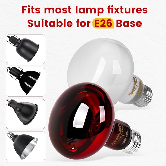 75W Reptile Heat Lamp Bulbs 2-Pack — UVA Daylight & Infrared Night Combo, Efficient Basking Light for Bearded Dragon, Lizard, Turtle, Chicken, E26 Base