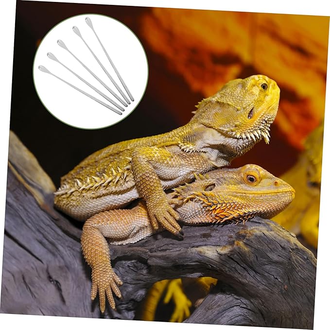 COLLBATH 5pcs Lightweight Reptile Food Scoops for Lizard Feeding Ergonomic Design for Precise Nutrition Durable Small Animal Feeding Spoons for Home Use