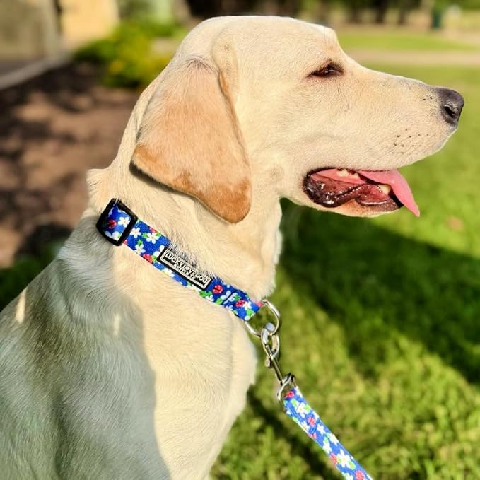 Lucky Love Dog - Adjustable Dog Collar with Easy Click Buckle for Small Dogs, Durable, & Comfortable for Male & Female Dogs, Pet Collar for Puppies & Adult Dogs - Lilian, Small