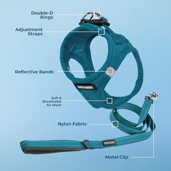 Best Pet Supplies Voyager Step-in Air All Weather Mesh Harness and Reflective Dog 5ft Leash Combo with Neoprene Handle, for Small, Medium and Large Breed Puppies - Set (Turquoise), X-Large