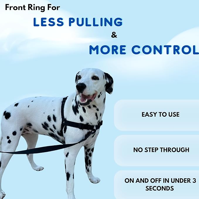 ShawnCo Dream Walk No-Pull Dog Harness- Adjustable, Comfortable, Easy to Use Pet Halter to Help Stop Pulling for Small, Medium and Large Dogs- Art Pattern Designs (Wolf Moon, S)