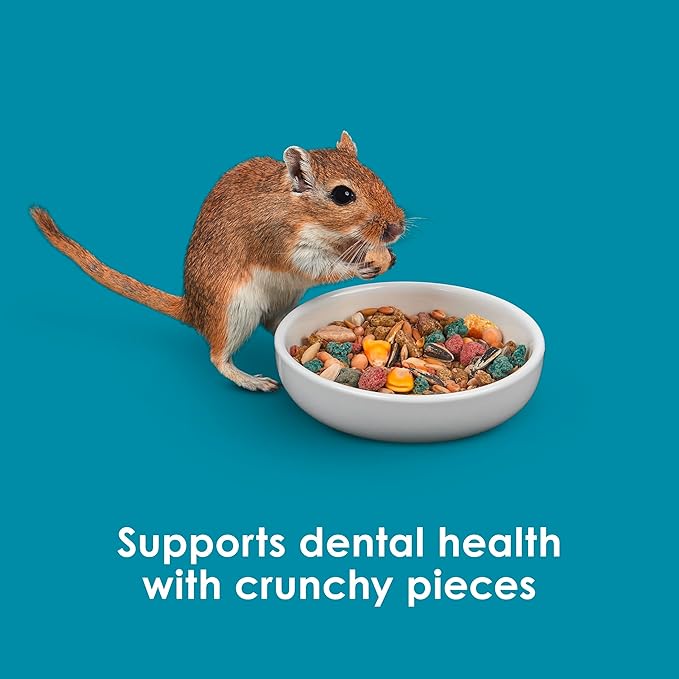 Kaytee Forti-Diet Pro Health Nourish+Protect Hamster and Gerbil Food, Comprehensive Nutrition Backed by Science, Digestive Health, Immune Support, 8 Pounds