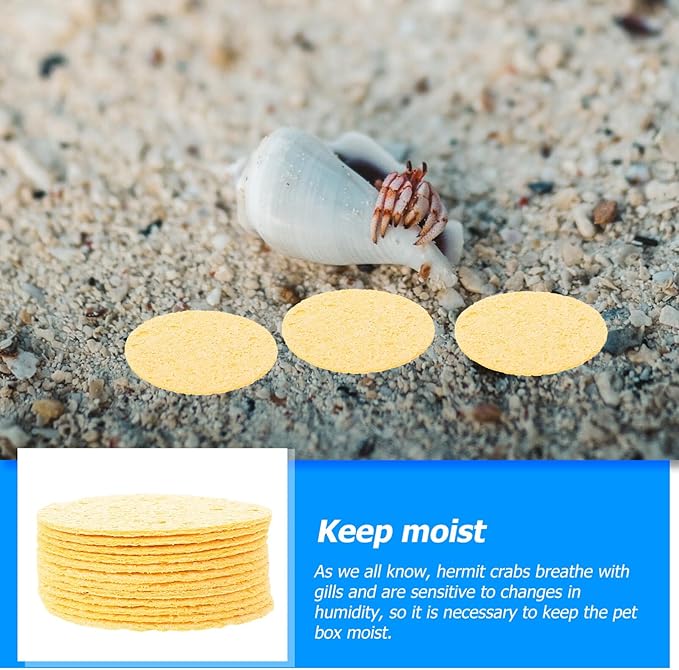 VILLCASE 12pcs Hermit Crab Sponges Pet Crab Sea Sponges Water Dish Provide Nutrients for Pet Tank Humidity Supplies