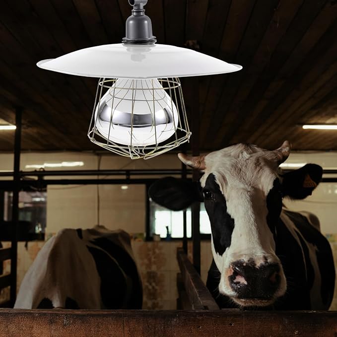 Milisten Brooding Heat Preservation Lamp Heating Poultry and Livestock Safe and Efficient Heat Source for Chicks Pregnant Animals and Newborns