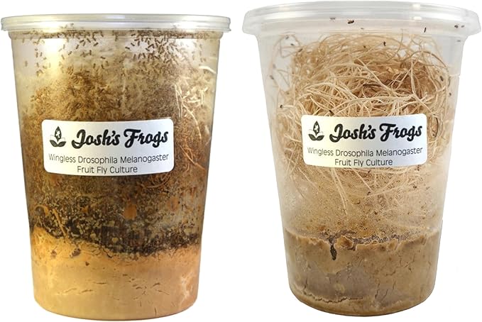 Josh's Frogs Melanogaster Fruit Fly Culture Producing and Fresh Combo Pack