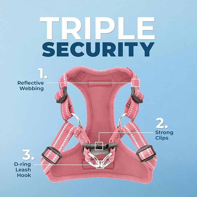 Best Pet Supplies Voyager Adjustable Step-in Flex Breathable Mesh Dog Harness for Small Medium Large Dogs Leash Set (Pink), L
