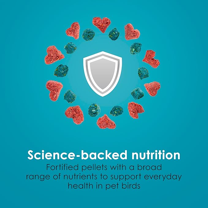 Kaytee Forti-Diet Pro Health Nourish+Protect Parakeet Food,Comprehensive Nutrition Backed by Science,Digestive Health,Immune Support,4 pounds,(Pack of 2)