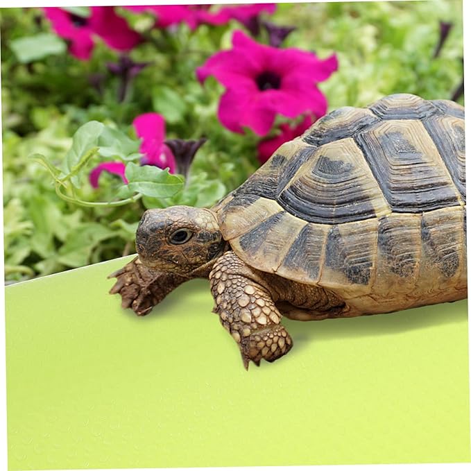Hemoton Reptile Carpet Liner Nonslip Substrate for Bearded Dragons Snakes Tortoises Lizards Versatile Bedding Mat for Terrariums and Reptile Cages