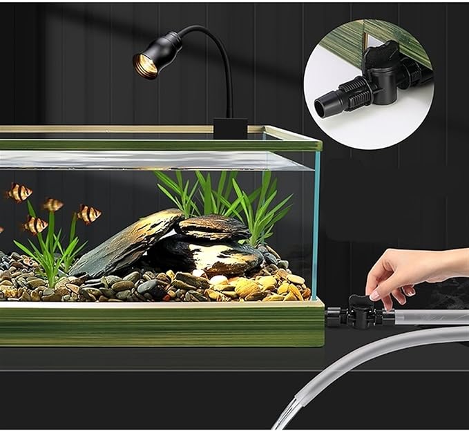Modern Transparent Glass Aquarium with Decorative Border Living Room Office Ornamental Glass Aquarium Desktop Transparent Fish Tank Turtle Tank Desktop Display(50x31x23.5cm)