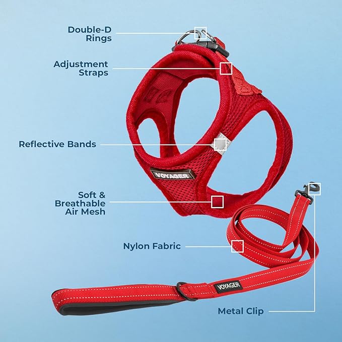 Best Pet Supplies Voyager Step-in Air All Weather Mesh Harness and Reflective Dog 5ft Leash Combo with Neoprene Handle, for Small, Medium and Large Breed Puppies - Set (Red), Small