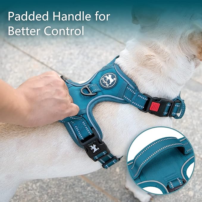 PoyPet No Pull Dog Harness, No Choke Reflective Dog Vest, Adjustable Pet Harnesses with Easy Control Padded Handle for Small Medium Large Dogs(Tumalo Teal,L)