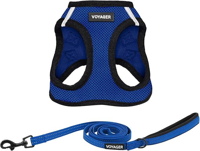 Best Pet Supplies Voyager Step-in Air All Weather Mesh Harness and Reflective Dog 5ft Leash Combo with Neoprene Handle, for Small, Medium and Large Breed Puppies - Set (Royal Blue/Black Trim), Large