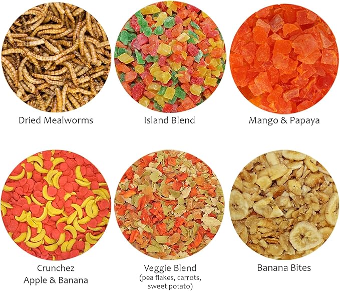 Treat Assortment 6 Pack - Pet Treat with Mix of Dried Fruits, Dried Insects, & Other Crunchies - For Sugar Gliders, Hedgehogs, Squirrels, Rabbits, Marmosets, Rats, Hamsters - Sample Variety