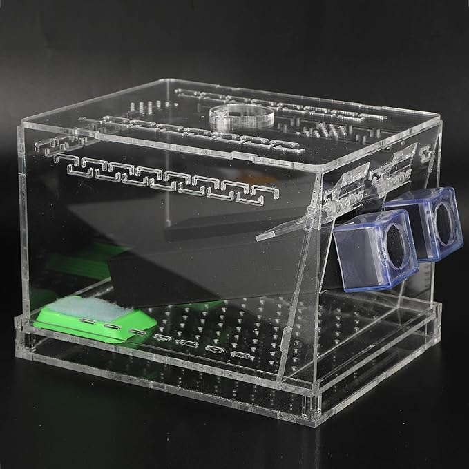 Acrylic Feeding Cricket Keeper Pen with Tubes Care Kit Tank Box for Reptile (Large 15x10x10cm/ 5.91x3.94in)