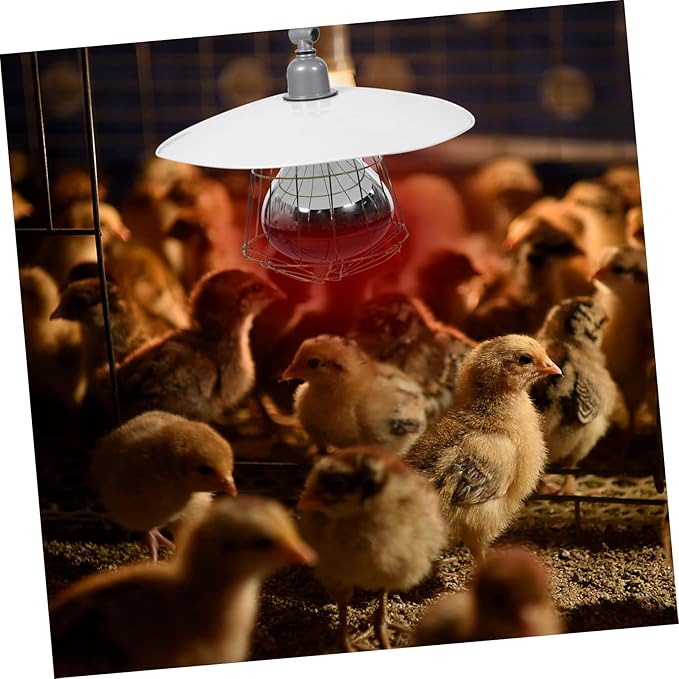 IMIKEYA 1pc Livestock Cage Heating Lamp Safe Warming High-Temperature Resistant Bulb Easy to Install Heating Supply for Reptiles and Livestock