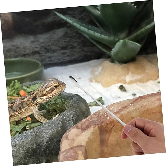 COLLBATH 5pcs Lightweight Reptile Food Scoops for Lizard Feeding Ergonomic Design for Precise Nutrition Durable Small Animal Feeding Spoons for Home Use