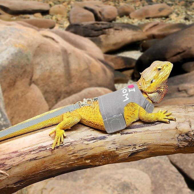 Bearded Dragon Harness and Leash Set - Adjustable Lizard Harness with Glow in The Dark Print Outdoor Traction Rope Walking Leash Reptile Halloween Costume Accessories for Small Pets (Grey)