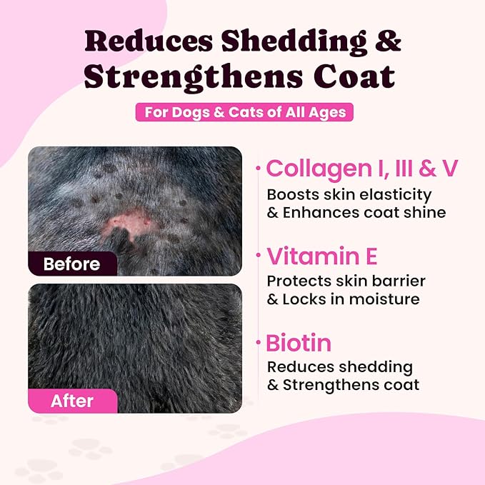 Premium Collagen for Dogs & Cats ?€? 5 Types of Grass-Fed Collagen (I, II, III, V & X), Fast Allergy & Itch Relief Dog Col??geno with MSM, Biotin & Hyaluronic Acid ?€? Supports Healthy Skin & Joints ?€?120ml
