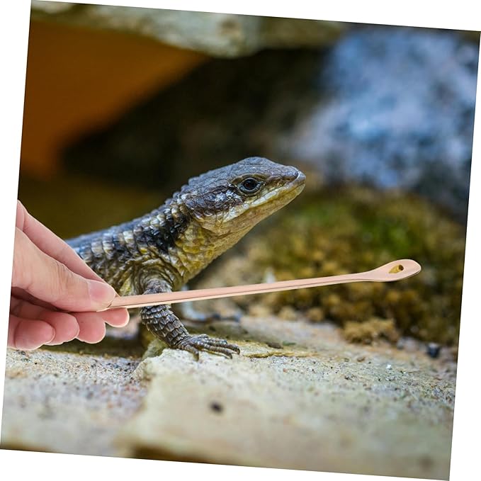 Mipcase 2pcs Stainless Steel Reptile Food Scoop Small Pet Feeding Spoon for Lizards and Reptiles Ergonomic Design for Easy Use and Maintenance Compact and Lightweight Tool for Convenient