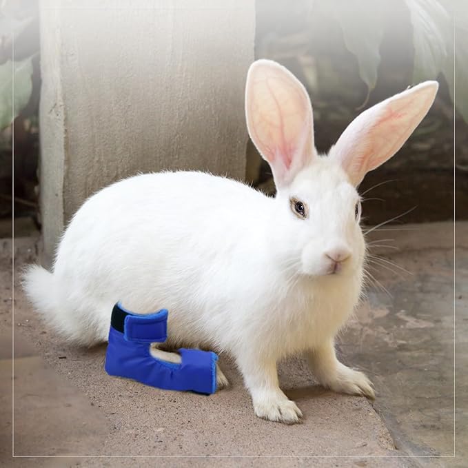 1 Pair of Water Resistant Rabbit Socks for Sore Hocks Elbow Protective for Bunny Recovery and Relief Wound Pain Waterproof