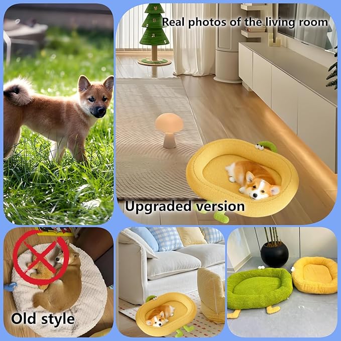 Cat Bed,for Indoor Outdoor Dog Beds & Furniture,Couch,Calming, Round,Fluffy, Cooling,Squish Mallow,Chew Proof,Waterproof,Non-Slip Bottom,Calming Dog Bed,Yellow(Yellow, M)