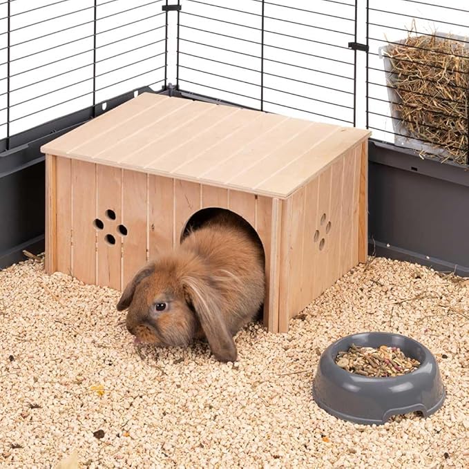 ファープラスト First Plast SIN 4647 Small Animal 10.8 x 7.9 x 14.6 inches (27.5 x 20 x 37 cm)