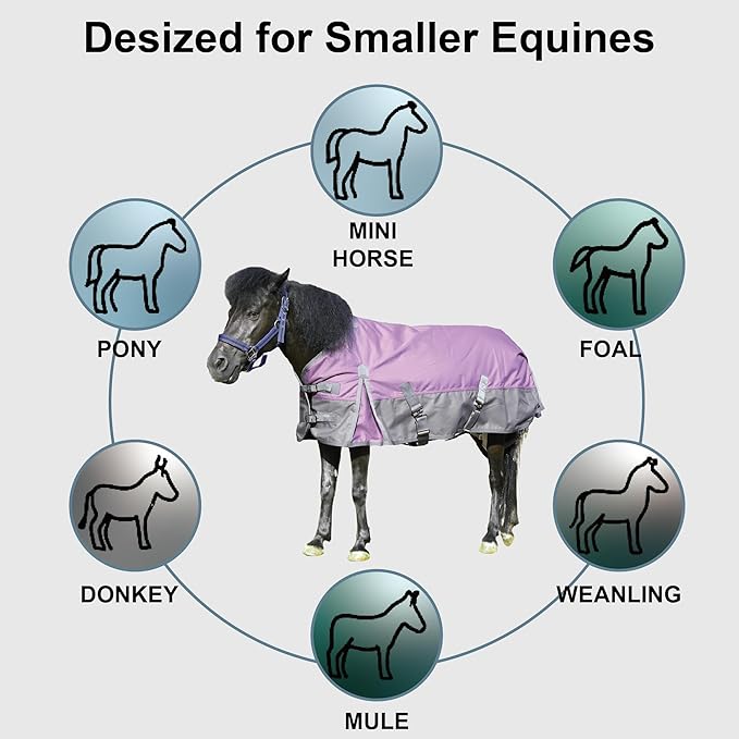 1200D Ripstop Mini Horse/Pony Blanket, Medium Weight 200g Fill - Waterproof Breathable Warm Winter Turnout Blanket for Foal/Weanling/Yearling/Donkey/Mule Violetgrey 60