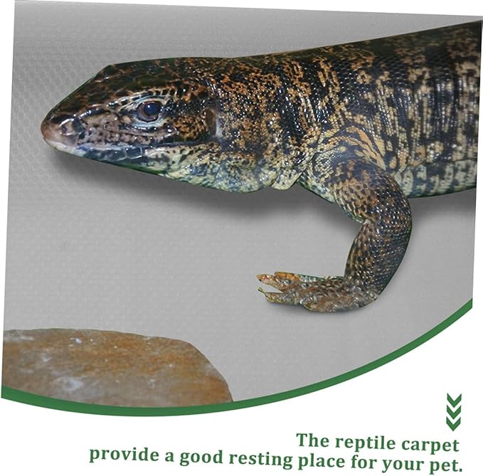 Reptile Carpet Mat for Leopard Gecko Lizard Snake and Turtle Soft Non-Slip Terrarium Substrate Bedding 48 x 24 Easy to Clean Accessories for Reptile Tank
