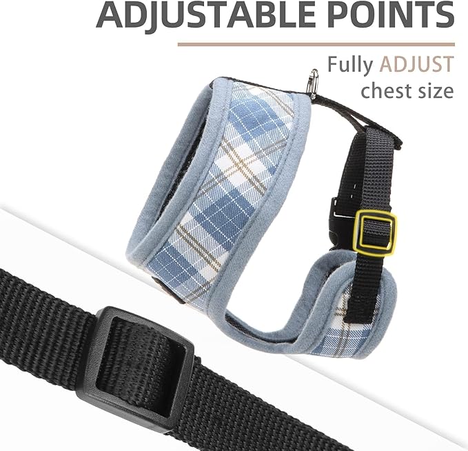 PUPTECK Soft Mesh Dog Harness and Leash Set Pet Puppy Cat Comfort Padded Vest No Pull Harnesses, Sky Blue, L