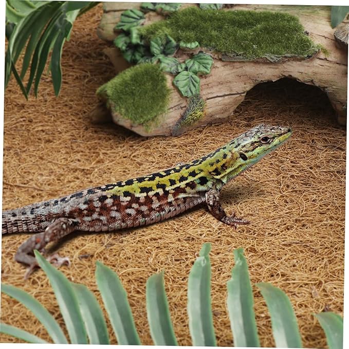 Coconut Fiber Reptile Carpet Mat Terrarium Bedding Substrate Liner for Bearded Dragon Tortoise Lizard Cage Soft Natural Coir Pad Reptile Habitat