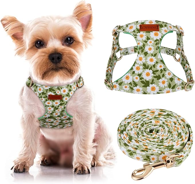 CHEDE No Pull Floral Pattern Dog Harness- Lightweight and Soft Harness, Adjustable Small Dog Harness and Leash Set, with Dog Leash, Suitable for Puppy Small and Medium-Sized Dog (XXS, Green Daisy)