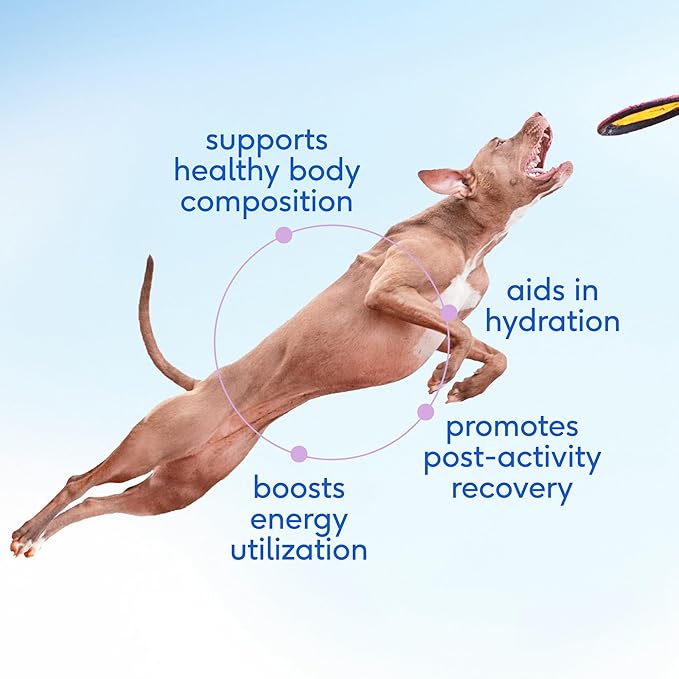 Native Pet Goat Milk Powder - Dog Food Topper for Active Dogs - Post-Activity Recovery, Energy, Immune Support, Hydration & Bone Health - Whole Goat Milk with MCTs & Essential Minerals - 60 Scoops