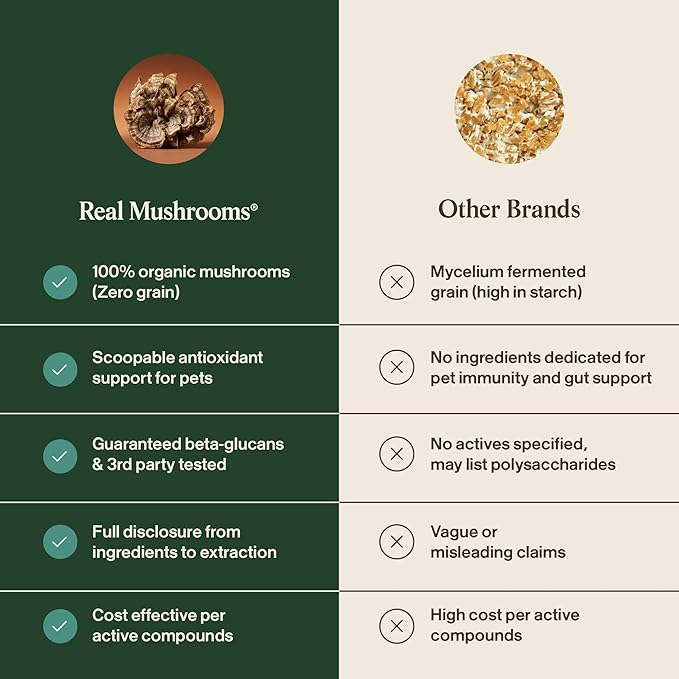 Real Mushrooms Turkey Tail with Qrill Pet - Turkey Tail Mushroom for Dogs with Krill Meal for Dogs and Cats - Beta-Glucan Rich Mushroom Extracts Immune & Gut Support for Puppies and Kittens, 75g