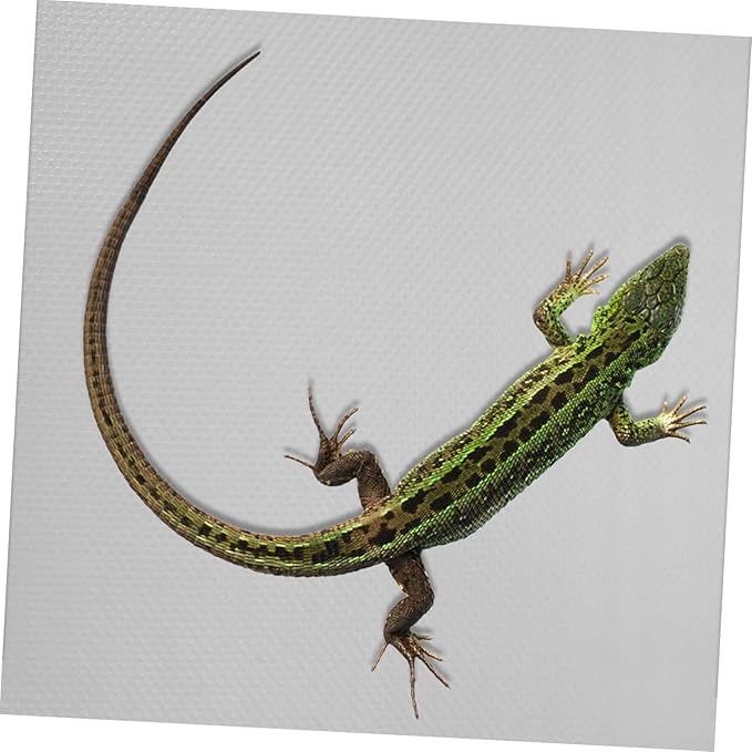 Reptile Carpet for Snakes and Turtles Non-Toxic Terrarium Bedding Mat for Bearded Dragons Lizards and Geckos Water-Resistant Substrate for Reptile Cages and Aquariums