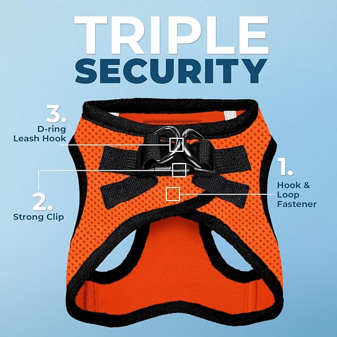 Best Pet Supplies Voyager Step-in Air All Weather Mesh Harness and Reflective Dog 5ft Leash Combo with Neoprene Handle, for Small, Medium and Large Breed Puppies - Set (Orange/Black Trim), Medium