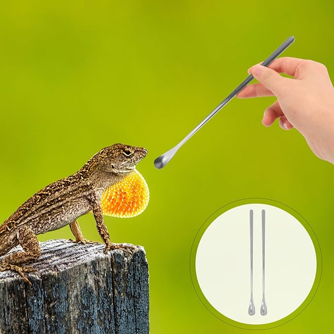 HANABASS 2pcs Sturdy Stainless Steel Feeding Spoon for Lizards Reptiles Multi-Functional Pet Food Scoops Small Lizard Food Spoon