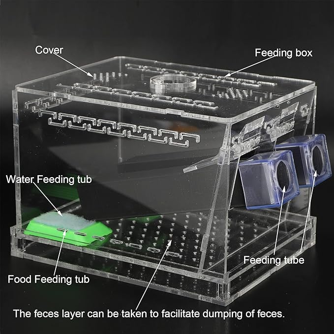Acrylic Feeding Cricket Keeper Pen with Tubes Care Kit Tank Box for Reptile (Large 15x10x10cm/ 5.91x3.94in)