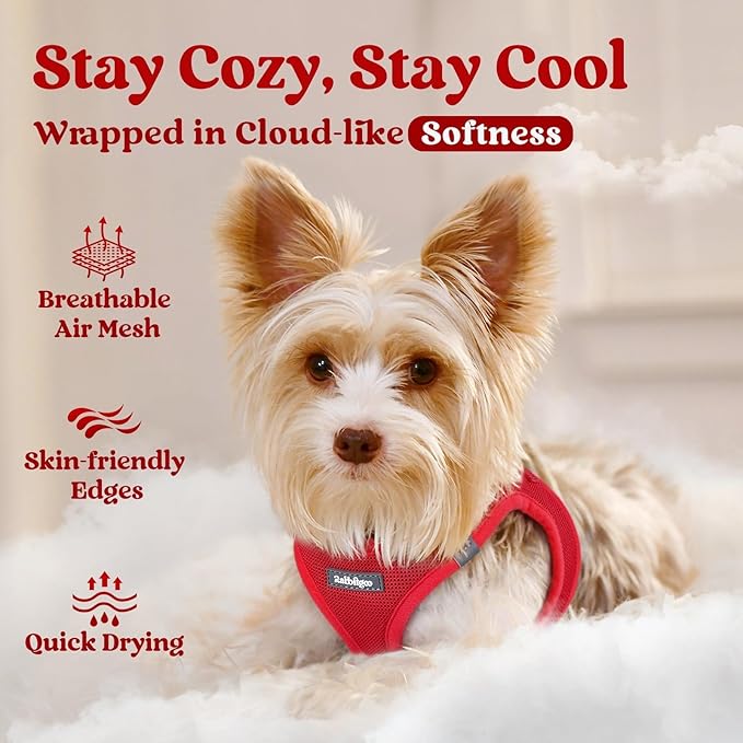 rabbitgoo Small Dog Harness, Step-in Soft Mesh Puppy Vest with Safety Buckle, Breathable Reflective Pet Harness for Small Medium Dogs, Red XL