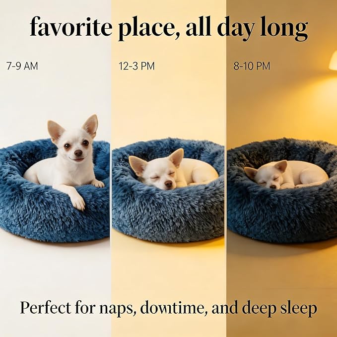 Calming Donut Dogs Beds for Small Dogs Washable,19inch Fluffy Round Puppy Bed for Puppies,Cats & Toy Breeds with Raised Rim,Fits up to 15 lbs Pets,Navy Blue