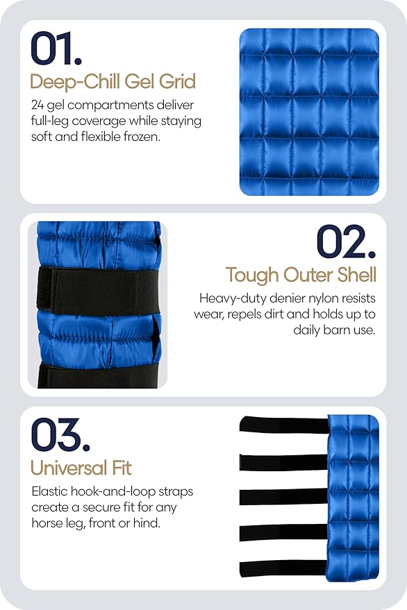 Equinavia Cool Relief Therapy Ice Boots Leg Wraps Pair for Horses, Gel Pack with Adjustable Straps | 16.5" x 15.5" with Storage Bag - Royal Blue - Pair - One Size