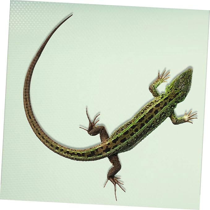 Eva Reptile Terrarium Carpet Snake Lizard Bedding Mat Bearded Dragon Accessories