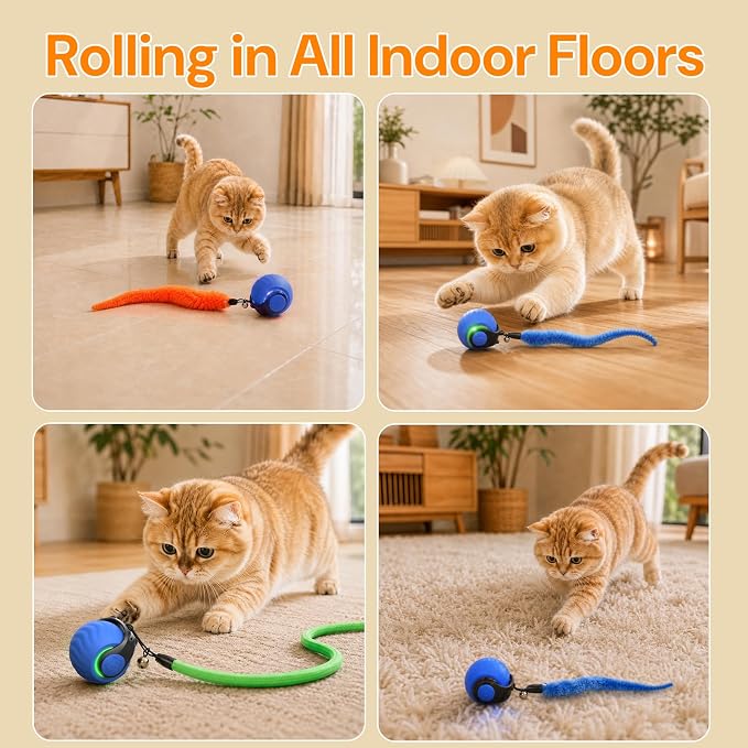 2026 Interactive Cat Toys with Bird Sounds & 3 Modes for Indoor Cats Play - Image 5