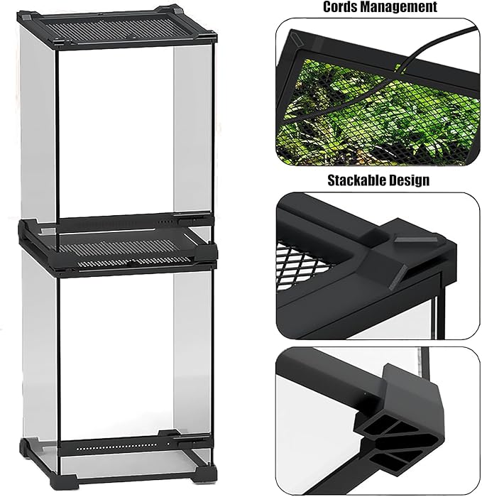 Woyrise Reptile Terrarium 8"x8"x12" Mini, Front-Opening Glass Tank with Mesh Lid & Escape-Proof Locks, 360° Vertical Enclosure with Gap Sealing Strip for Small Geckos, Frogs, Tarantulas, Lizards