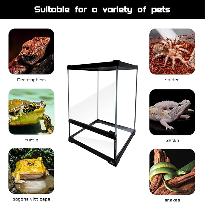 Reptile Glass Terrarium Tank 10 * 10 * 14in, Full View with Front Opening Door,Amphibians Enclosure Habitat Cage for Crested Gecko,Spider,Tarantula,Lizard,Hermit Crab,Frog,Mantises,Insects
