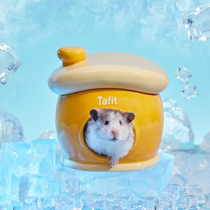 Ceramic Igloo Hamster Hideout - Green Small Animal Habitat Decor Hut for Syrian & Dwarf Hamsters, Gerbils, Mice, Rats - Four Seasons Home House