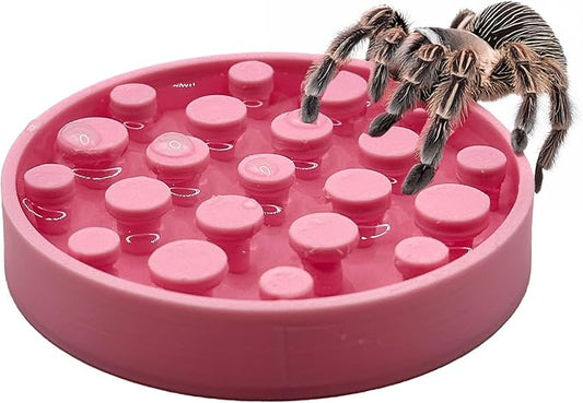 Leopard Gecko Water Bowl - Walkable Water Bowl - Tarantula Water Bowl (Bubble Gum Pink)