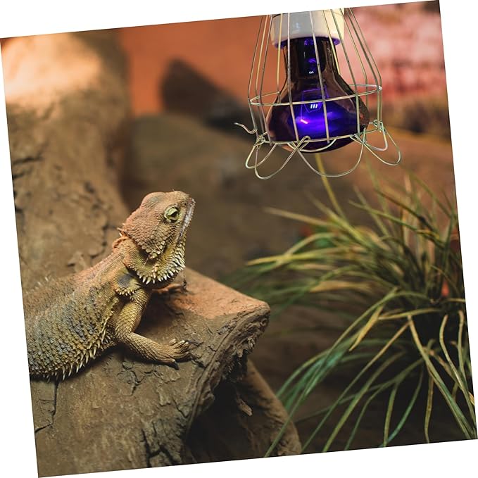 POPETPOP 3pcs Box Scald Lampshade for Reptiles Heat Lamp Shade Mesh Cover Reptile Lamp Bulb Guard Easy Install Accessory Lampshade Clamp