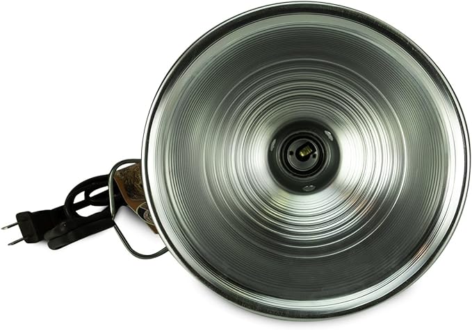 Repti Economy Clamp Lamp